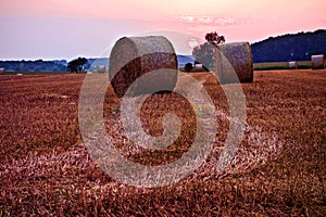 Circular hay bales on a farm field at sunset