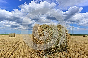 Circular haystack in windmill farm field with