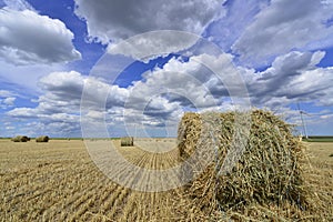 Circular haystack in windmill farm field with white grey clouds on blue sky