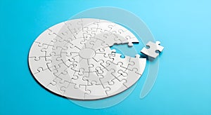Circular Jigsaw Puzzle with Missing Piece