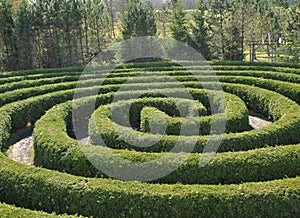 Circular maze