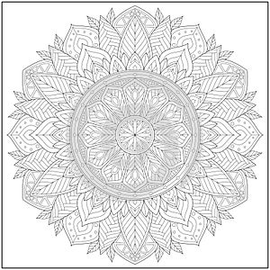Circular pattern in form of mandala for learning and education. Coloring page for adult