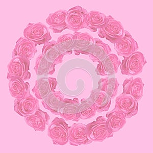 Circular pattern with pink roses