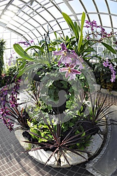 Circular Plantings