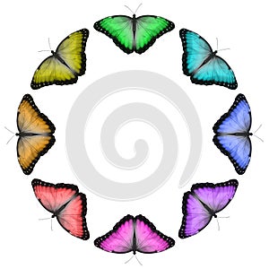 Circular Rainbow Coloured Butterfly Border