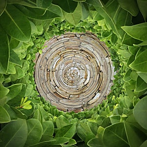 Circular Rock and Wall of Green Shrubs