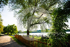 Circular route on WeÃŸlinger lake, summer time