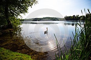 Circular route on WeÃŸlinger lake, summer time