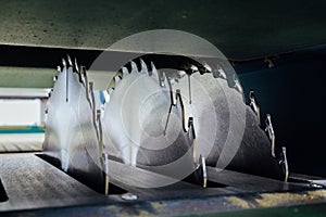 Circular saw blades of woodworking machine tool. Close-up view