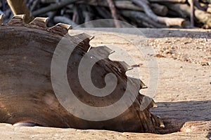 Circular saw. Circular Saw on wooden background with daylight