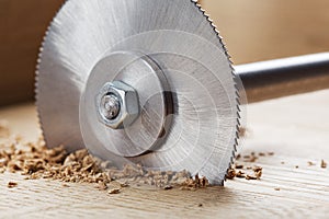 Circular saw cutting wooden plank. Circular milling in oak block
