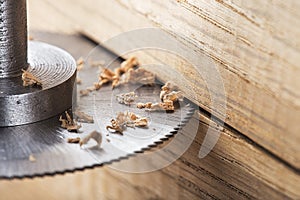 Circular saw cutting wooden plank. Circular milling in oak block