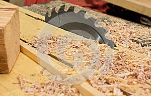 Circular saw and sawdust in workshop photo