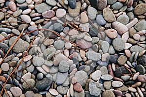 Circular sea pebbles