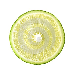 Circular slice of lemon is freshess and nature