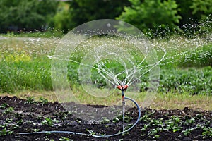 Circular sprinkler for watering the garden in operation