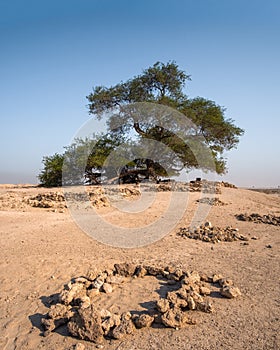 Circular stone patterns at the site of tree of life Bahrain