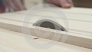 Circular table saw cutting wood in carpenter workshop close up
