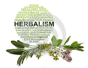 Herbalism Word Cloud and Common Culinary Herbs photo