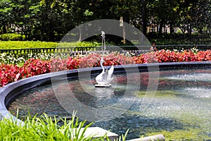 A circular white water fountain in the park surrounded by colorful flowers and lush green trees and plants with people walking