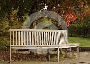 Circular Wooden Bench