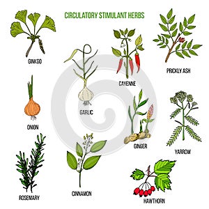 Circulatory stimulant herbs photo