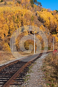 The Circum-Baikal Railway photo