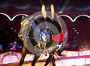 Circus act - horse acrobatic
