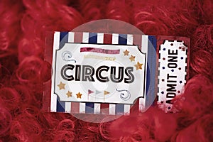 Circus admission ticket and clown red wig