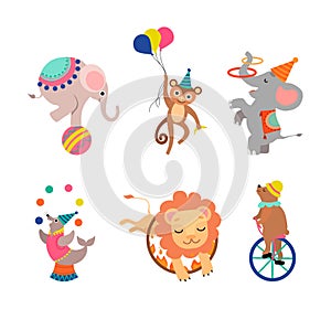 Circus Animal Performing Trick Juggling with Balls, Jumping Through Ring, Riding Monocycle and Balancing on Ball Vector