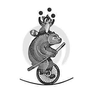 Circus bear with raccoon on unicycle sketch raster