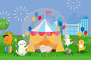Circus cats in marquee tent, cute animals cartoon characters, vector illustration