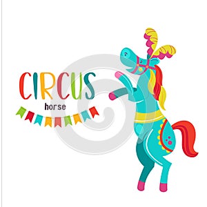 Circus cute trained horse. Vector illustration.