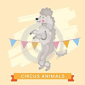 Circus Dog, vector animal series.