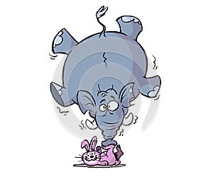 Circus elephant