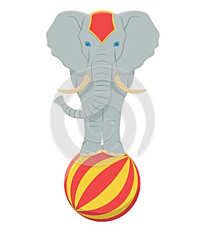 circus elephant illustration isolated on a white background