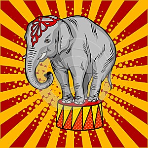 Circus elephant on pedestal pop art style vector