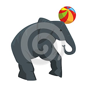 circus elephant playing with balloon