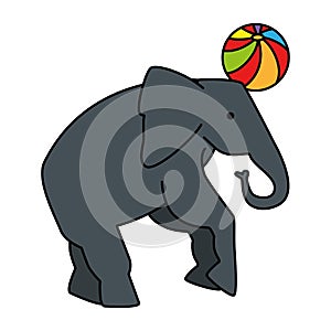 circus elephant playing with balloon