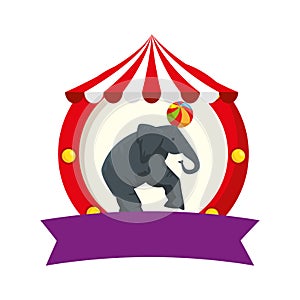 circus elephant playing with balloon in tent