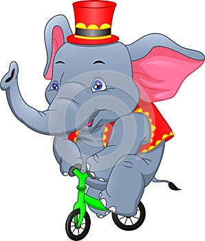 Circus elephant riding a bicycle