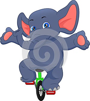 Circus elephant riding a bicycle