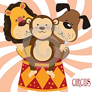 Circus entertainment