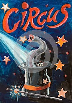 Circus Funny Illusion Poster