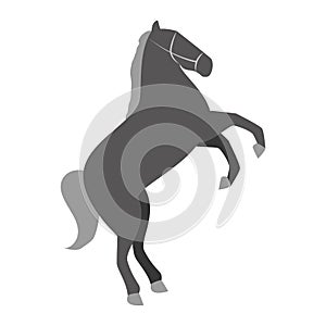 Circus horse entertainment icon