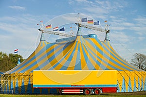 Circus international