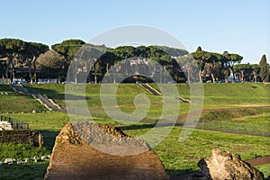 Circus Maximus RomeRome Italy