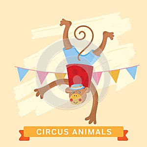 Circus Monkey, vector animal series.