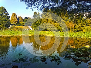 Circus Park in Bucharest