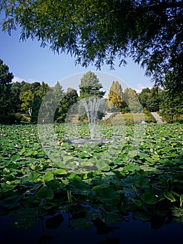 Circus Park Bucharest
